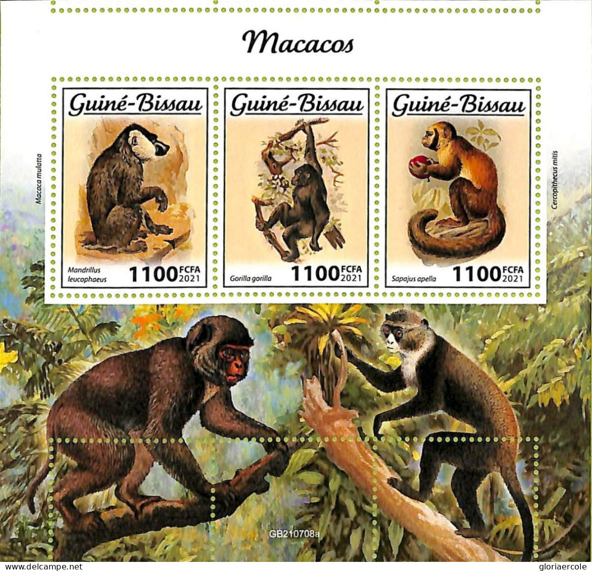 A7581 - GUINE BISSAU - ERROR MISPERF Stamp Sheet -  2021 - Monkeys - Apen