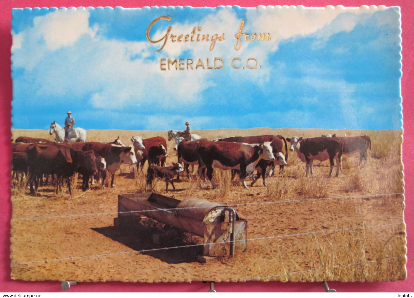 Australie - Queensland - Emerald - Mustering Beef Cattle - Joli Timbre - Andere & Zonder Classificatie