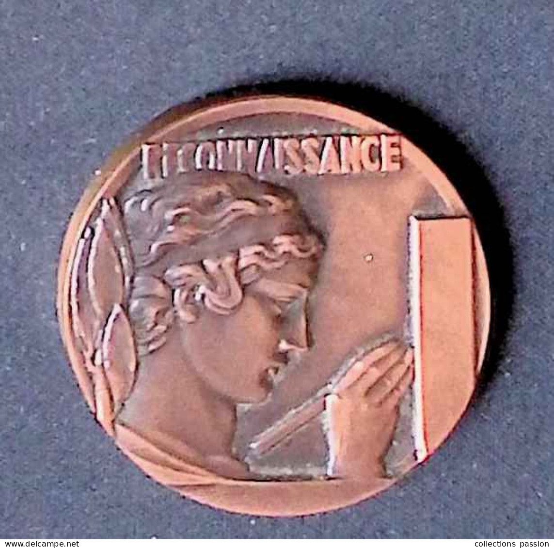 Médaille, Signée M. Delannoy, Les Donneurs De Sang, Bronze,  Reconnaissance, Frais Fr. 6.15 E - Profesionales / De Sociedad