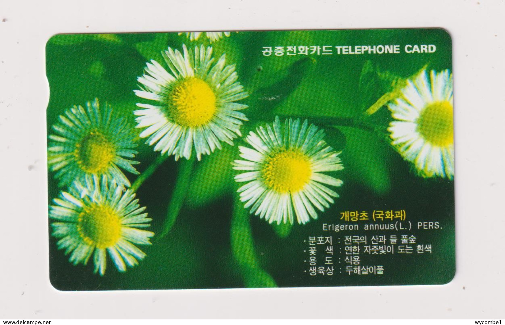 SOUTH KOREA - Flowers Magnetic Phonecard - Korea, South