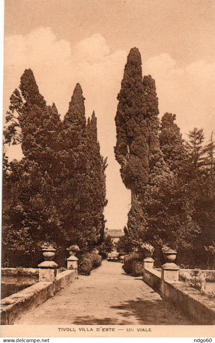 Tivoli - Villa D' Este - Un Viale - Tivoli