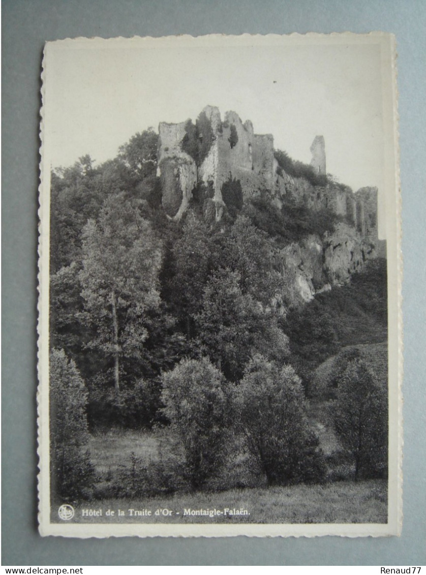 Hôtel De La Truite D'Or - Montaigle Falaën - Ruines De Montaigle - Onhaye