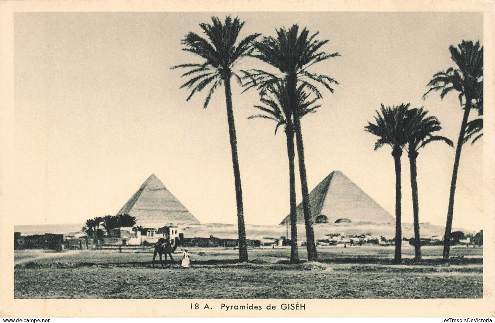 EGYPTE - A Pyramides De Gizeh - Chameau - Carte Postale Ancienne - Guiza