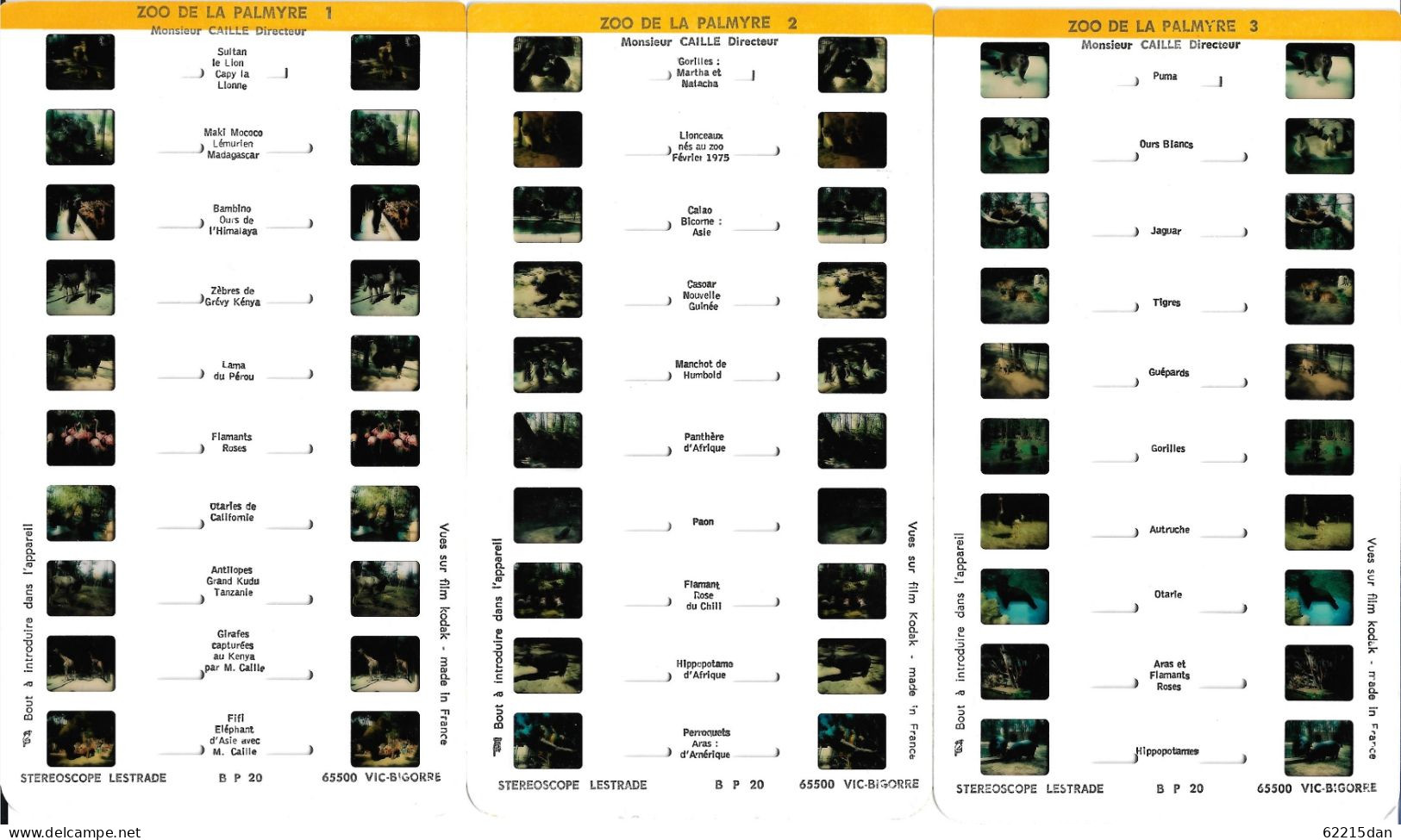 17 . CARTE STEREOSCOPIQUE LESTRADE ZOO DE LA PALMYRE . LOT DE 3 * - Stereoscopes - Side-by-side Viewers