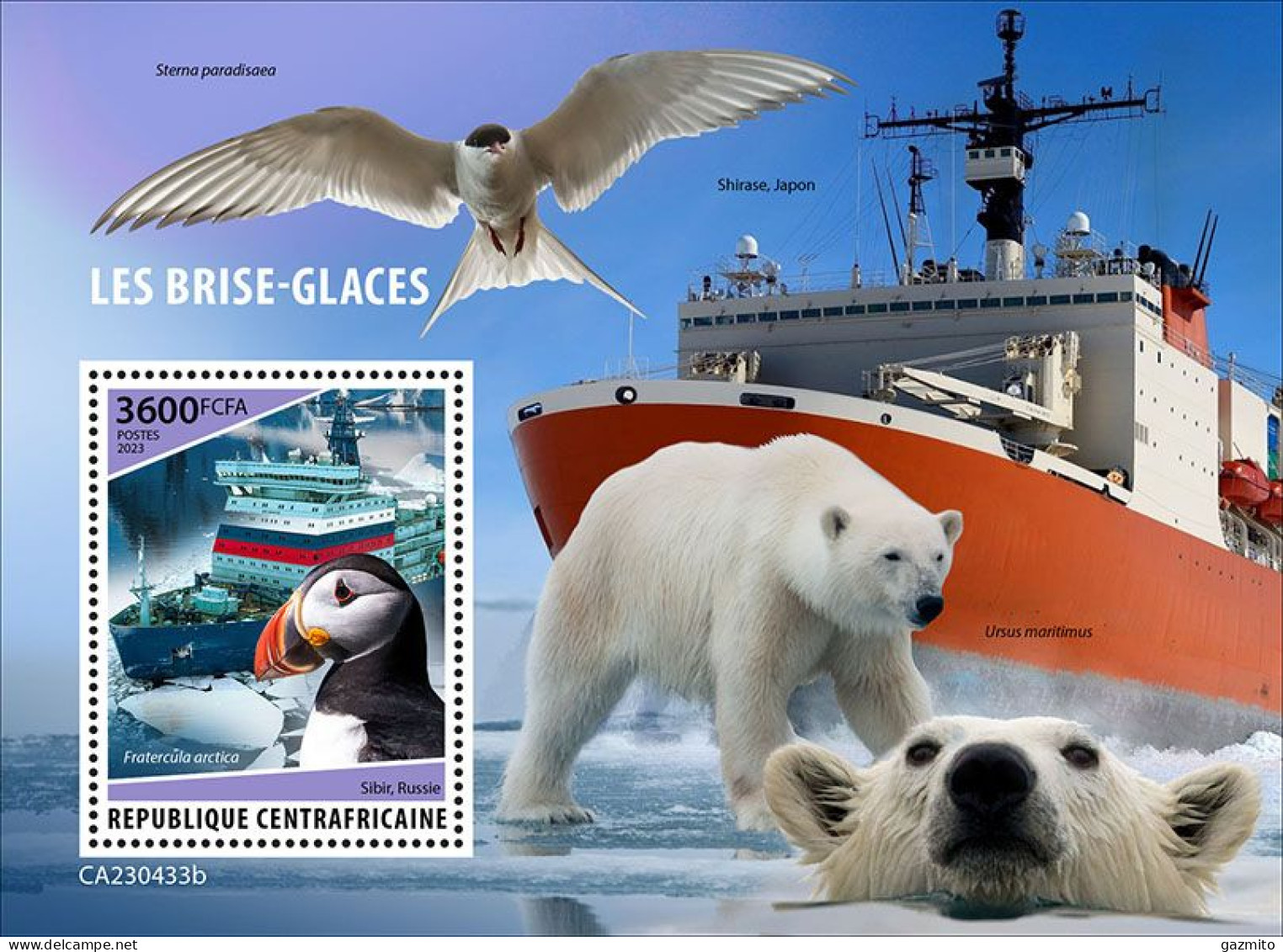 Centrafrica 2023, Iceberg, Birds, Polar Bear, 3val In BF - Marine Web-footed Birds