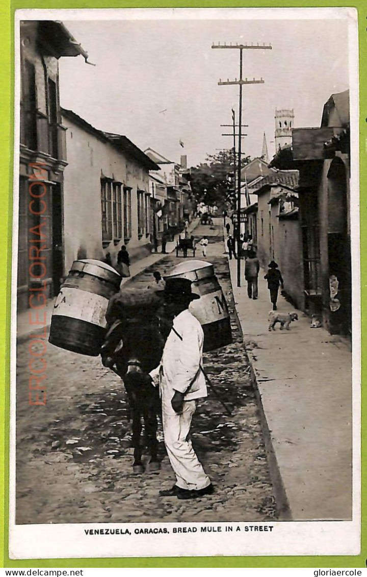 Af2944 - VENEZUELA - VINTAGE POSTCARD - Caracas - Bread Mule In A Street - Venezuela