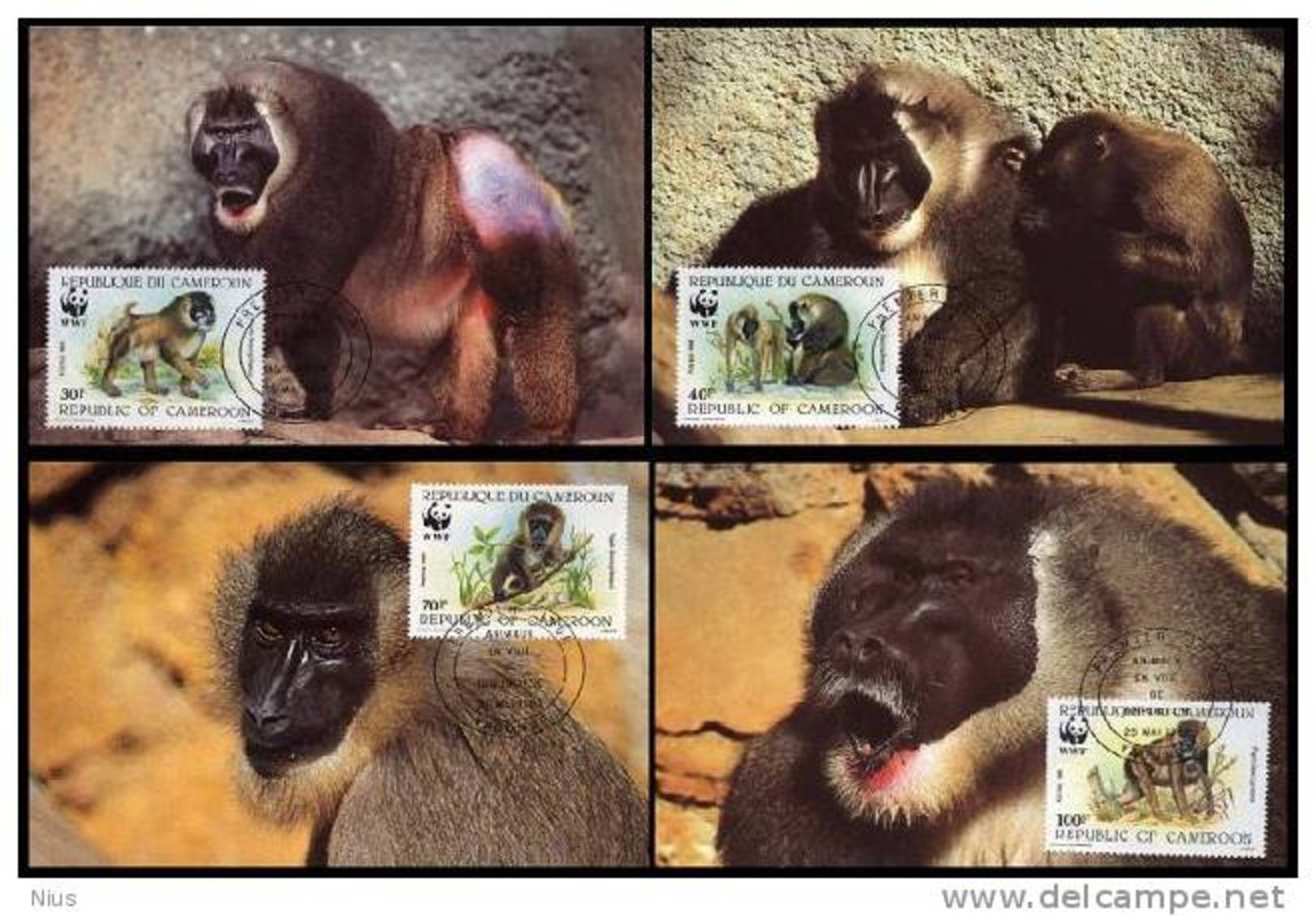 Cameroun Cameroon 1988 WWF W.W.F. Set X4 Maximum Cards Monkey Monkeys Fauna Drill - Cartes-maximum