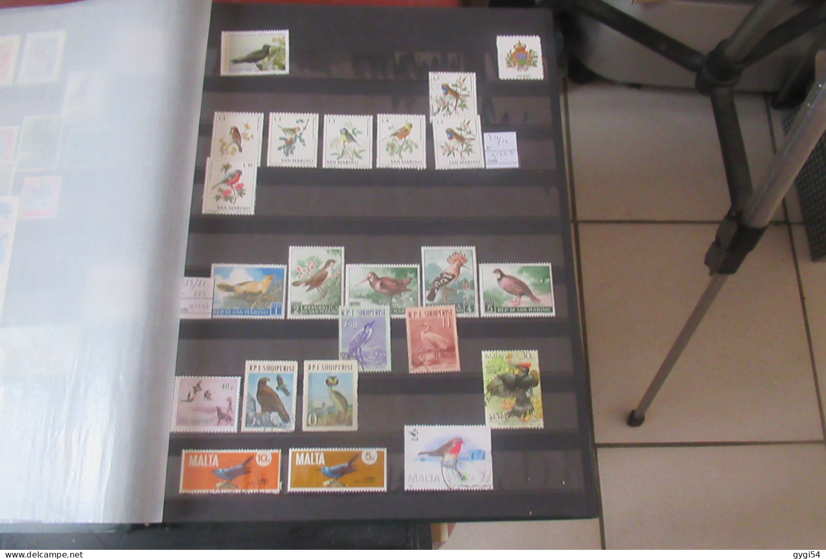 OISEAUX De TOUS PAYS OBLI OU  MNH - Collections, Lots & Séries