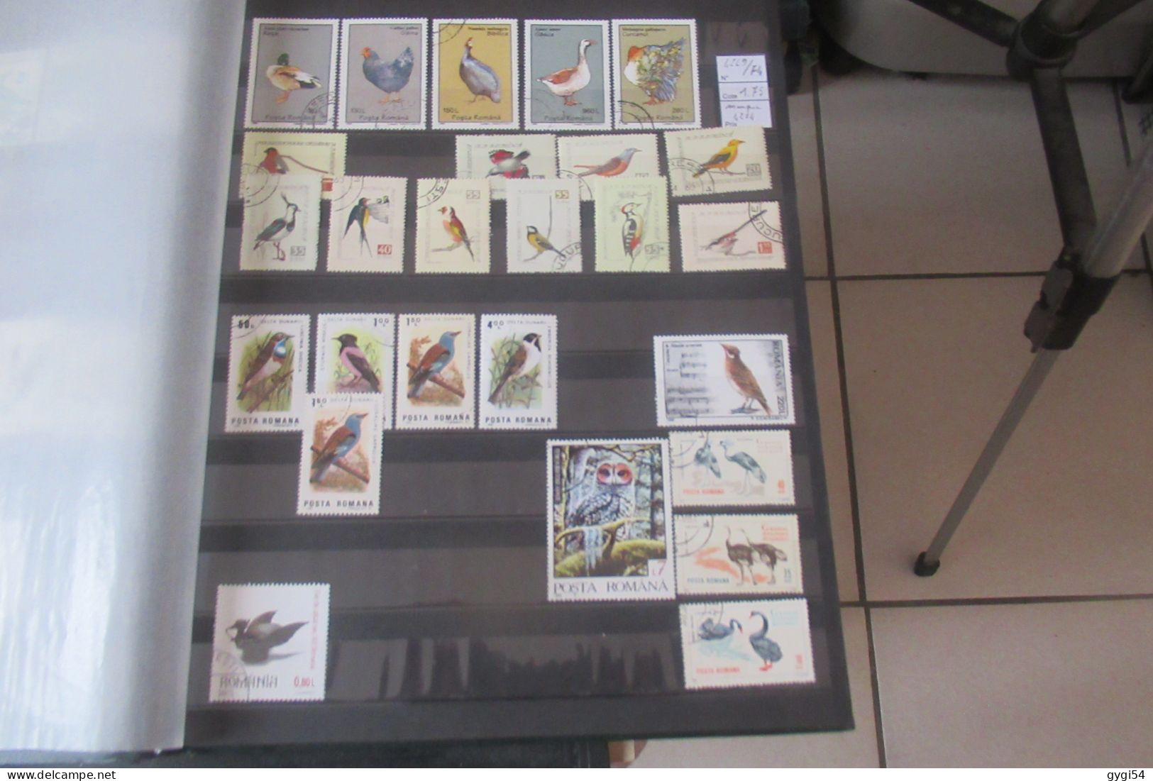 OISEAUX de TOUS PAYS OBLI OU  MNH