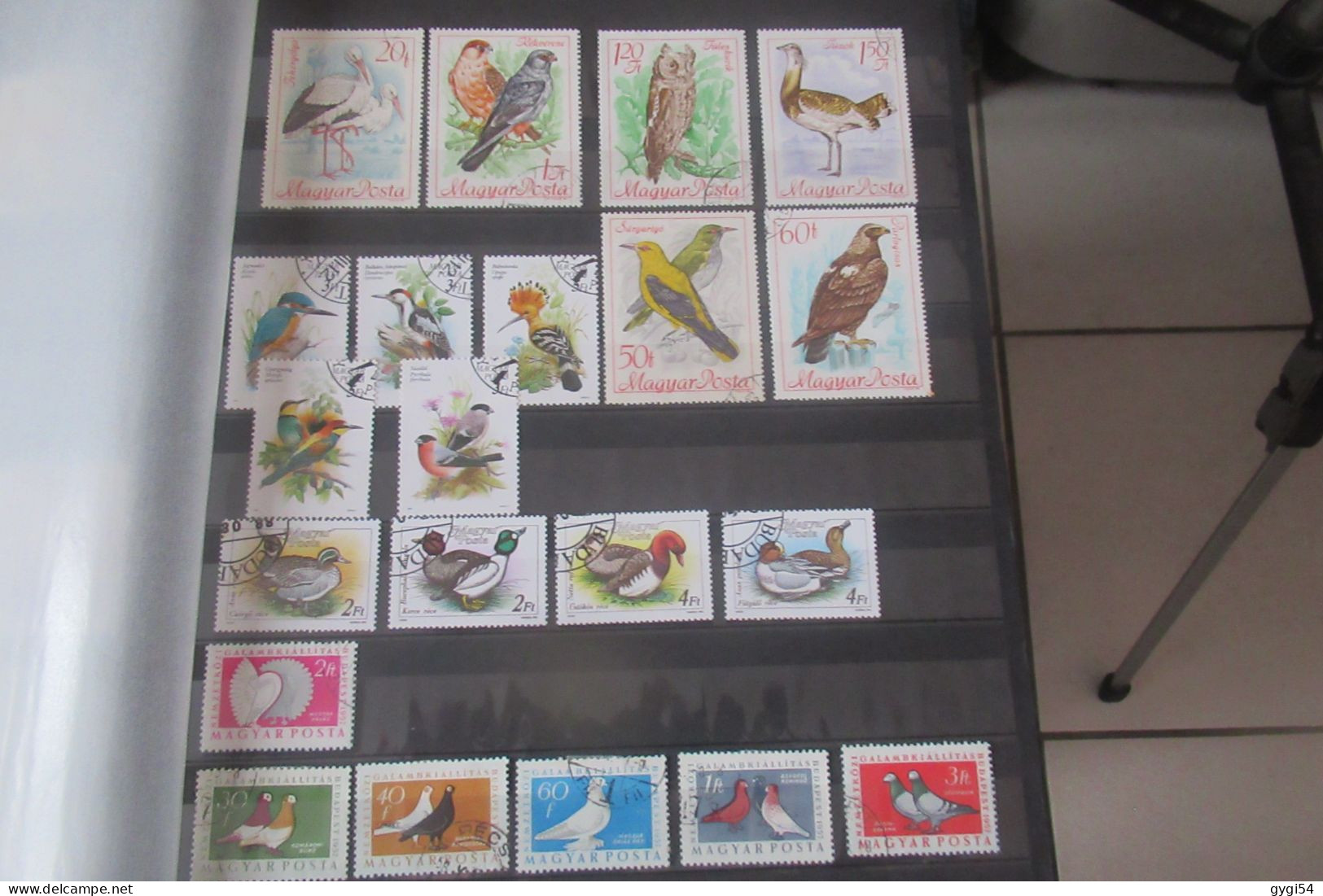 OISEAUX de TOUS PAYS OBLI OU  MNH