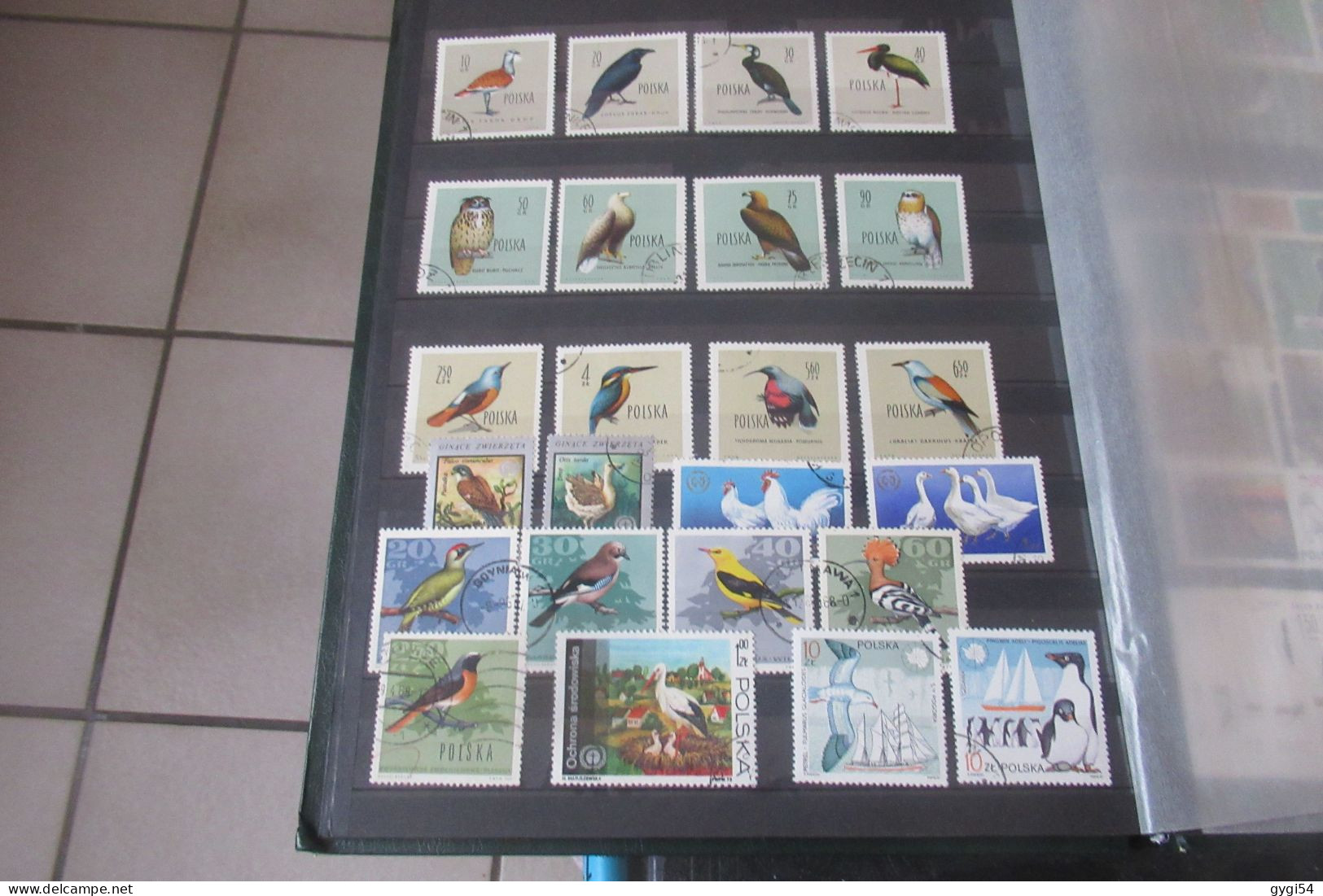 OISEAUX de TOUS PAYS OBLI OU  MNH