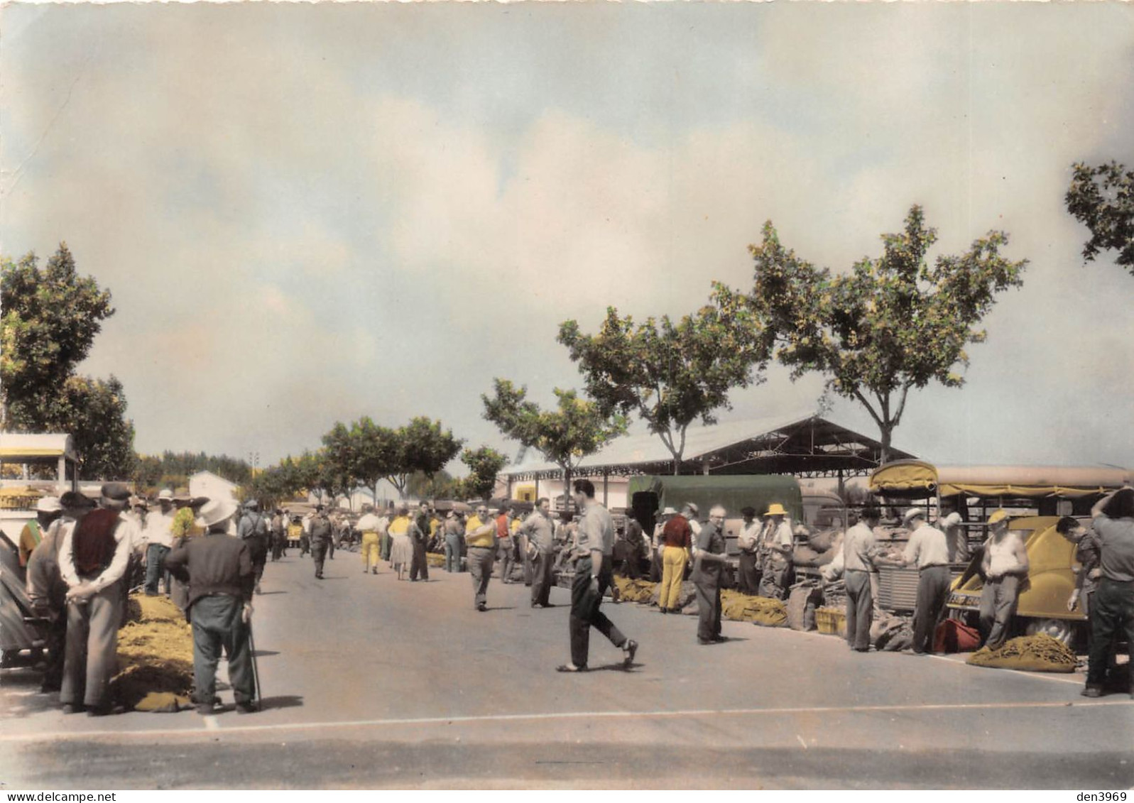 MONTEUX (Vaucluse) - Le Marché - Ecrit 1967 (2 Scans) - Monteux