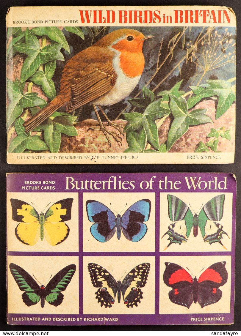TEA CARDS BY BROOKE BOND In Albums. Includes Out Of Space (x3), Bird Portraits (x3), Butterflies, Birds, Flowers And Asi - Otros & Sin Clasificación