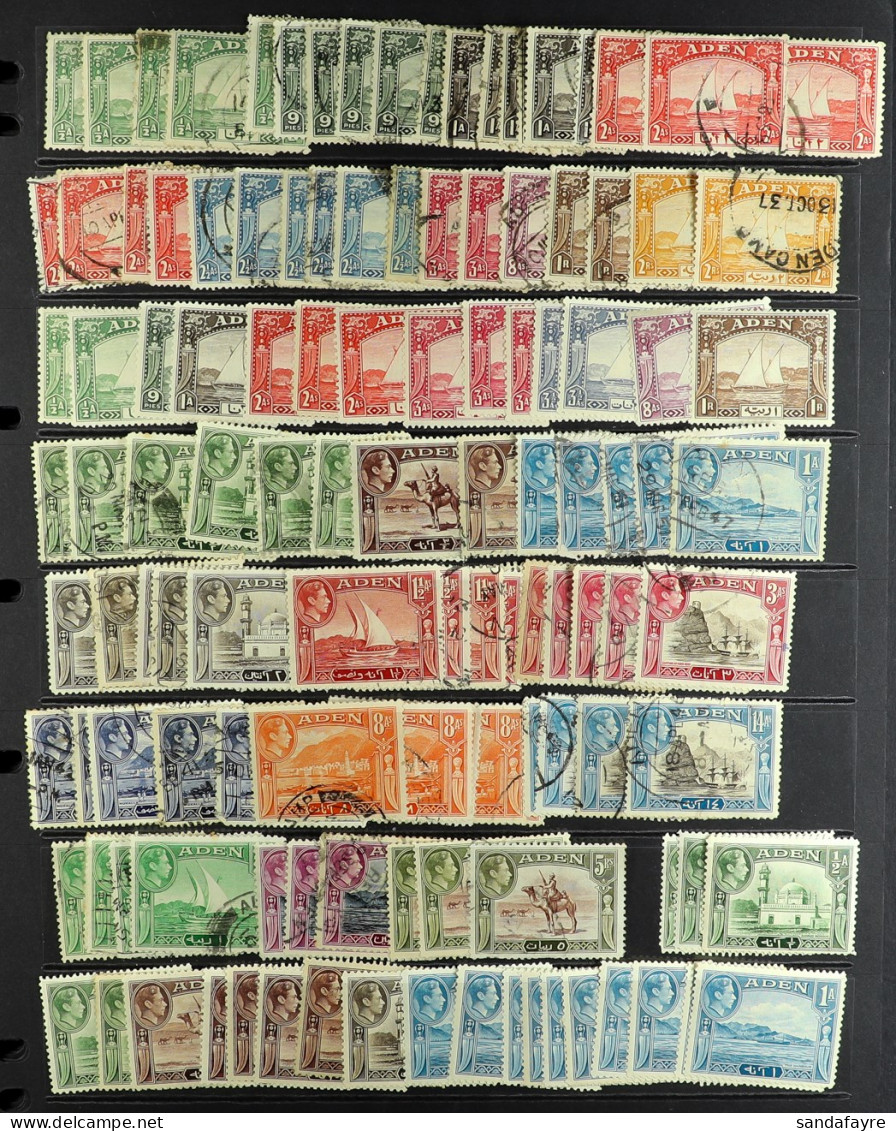 1937-1963 ACCUMULATION On Stock Pages, Mint & Used, Includes 1937 Dhow To 1r Mint & 2r (x2) Used, 1951 Surchs Set Used,  - Aden (1854-1963)