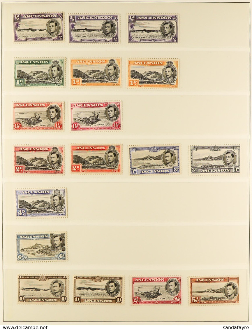1938-1993 NEVER HINGED MINT COLLECTION On Stock Pages, Includes 1938-53 Most Vals To 5s, 1948 Wedding Set, 1956 5s, 1991 - Ascension (Ile De L')