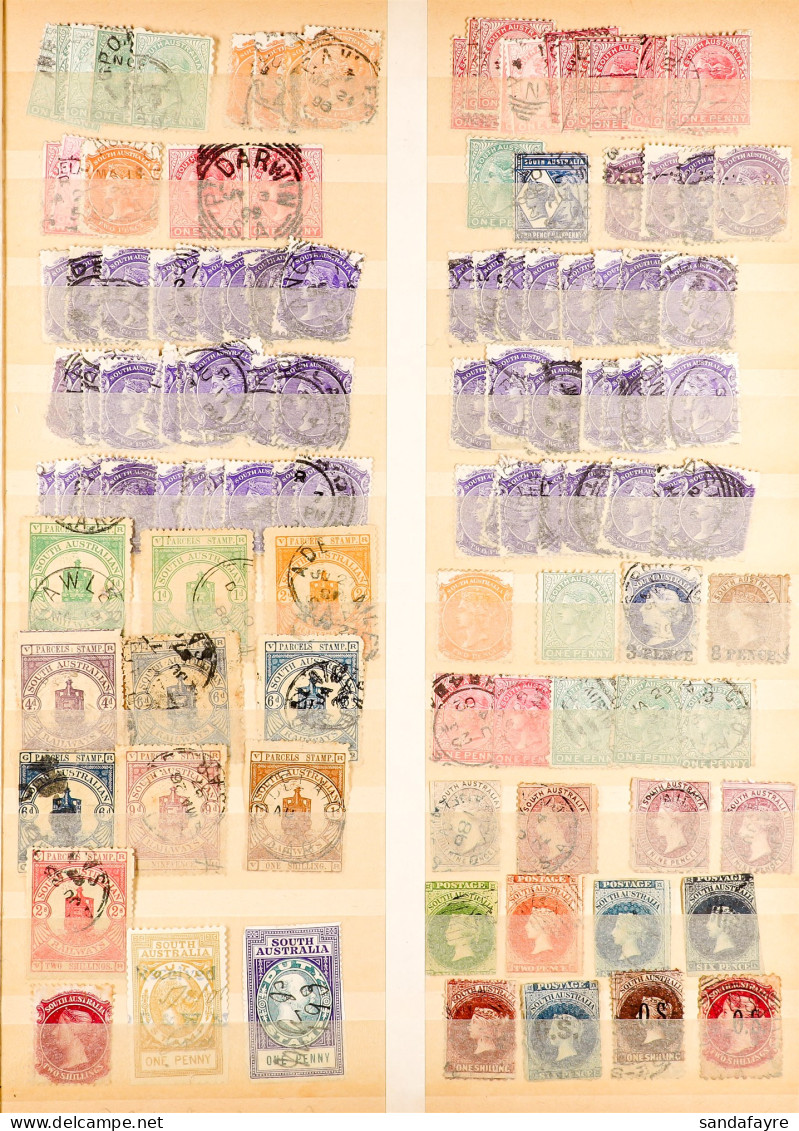 SOUTH AUSTRALIA MOSTLY USED Stamps On Album & Stock Book Pages, Imperf Ranges To 1s, Official Overprinted To 2s, Postal  - Other & Unclassified