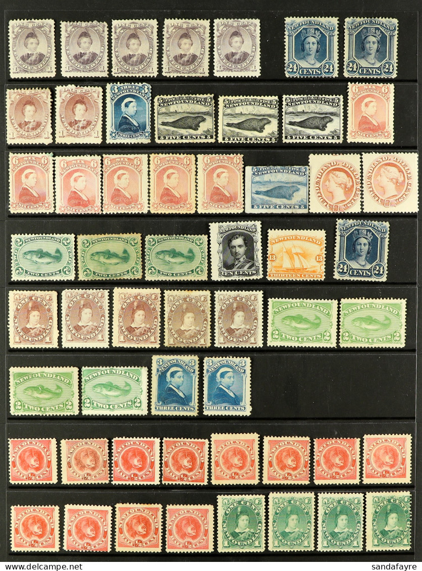 NEWFOUNDLAND - 1865 - 1947 MINT STAMPS, CAT Â£9000+. A Stock Of Mint / Unused Stamps On Protective Pages, Note 1865-70 2 - Andere & Zonder Classificatie