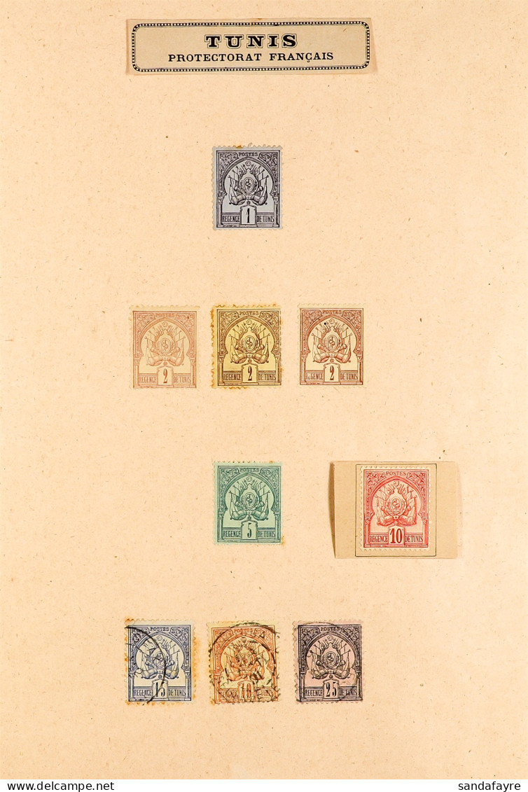 TUNISIA 1888 - 1930's COLLECTION Of Mint & Used Stamps, Sets, Pairs / Blocks, Postage Dues On Old Album PagesÂ (350+ Sta - Autres & Non Classés