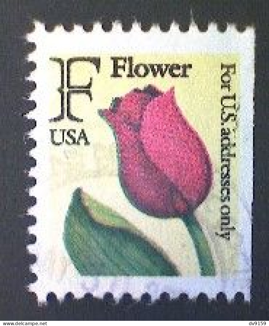United States, Scott #2519, Used(o), 1991, Rate Change "F" Tulip , (29¢), Yellow, Black, Red, And Yellow Green - Used Stamps