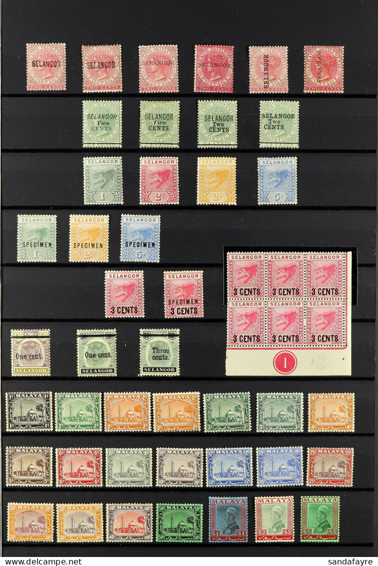 SELANGOR 1885 - 1970 MINT / NEVER HINGED MINT COLLECTION On Protective Pages, Note 1885-91 'Selangor' Overprints On 2c P - Other & Unclassified