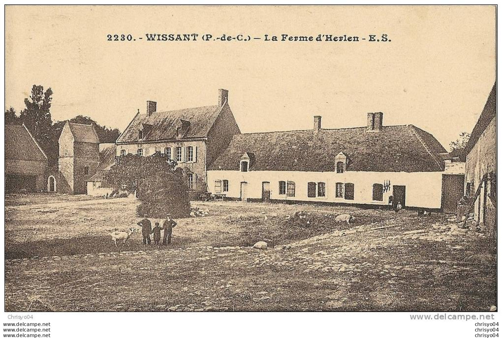 17sc   62 WISSANT LA FERME D'HERLEN ANIMEE CHEVRE - Wissant