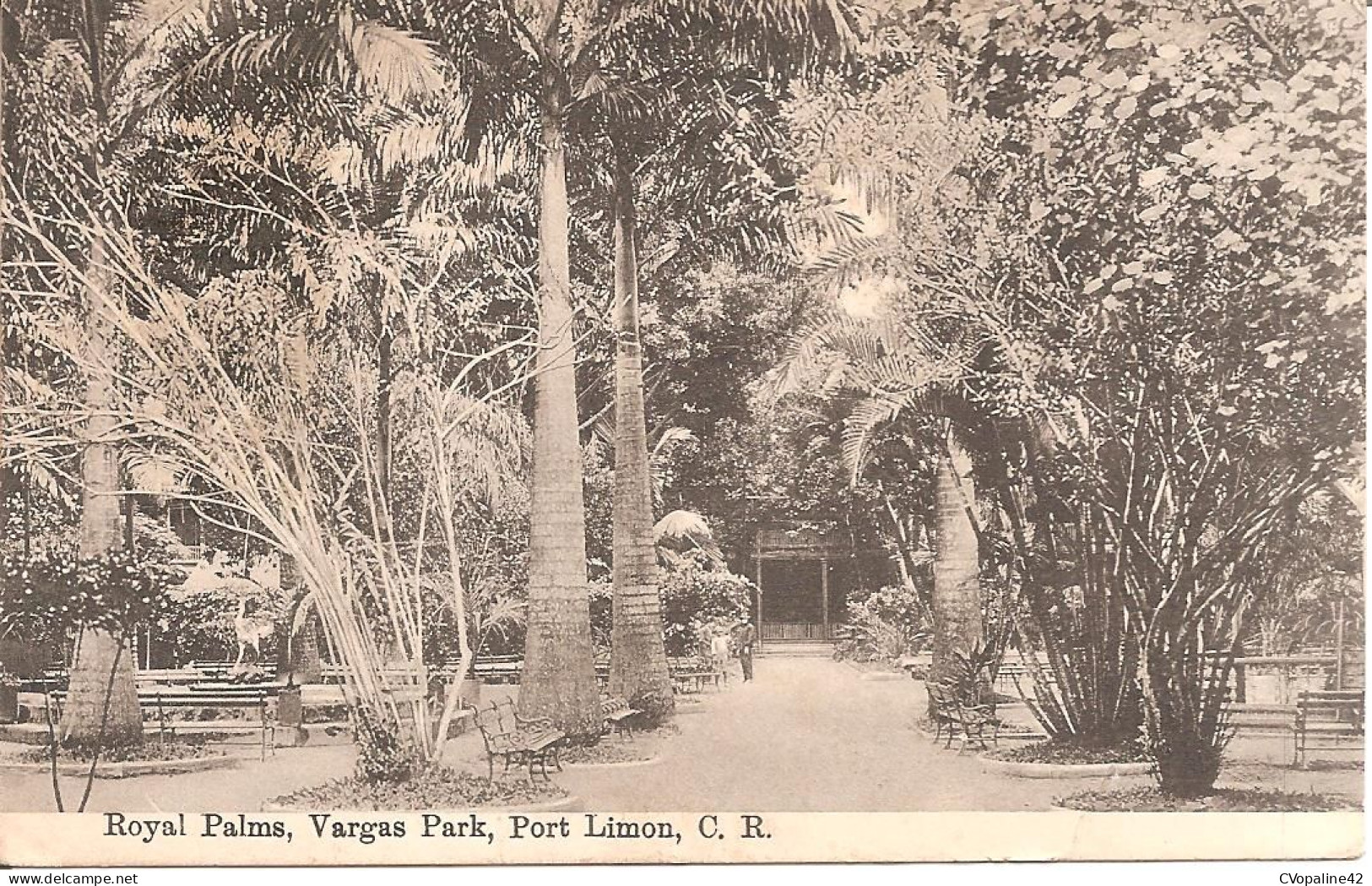 PORT LIMON (COSTA RICA) Royal Palms , Vargas Park In 1914 - Costa Rica