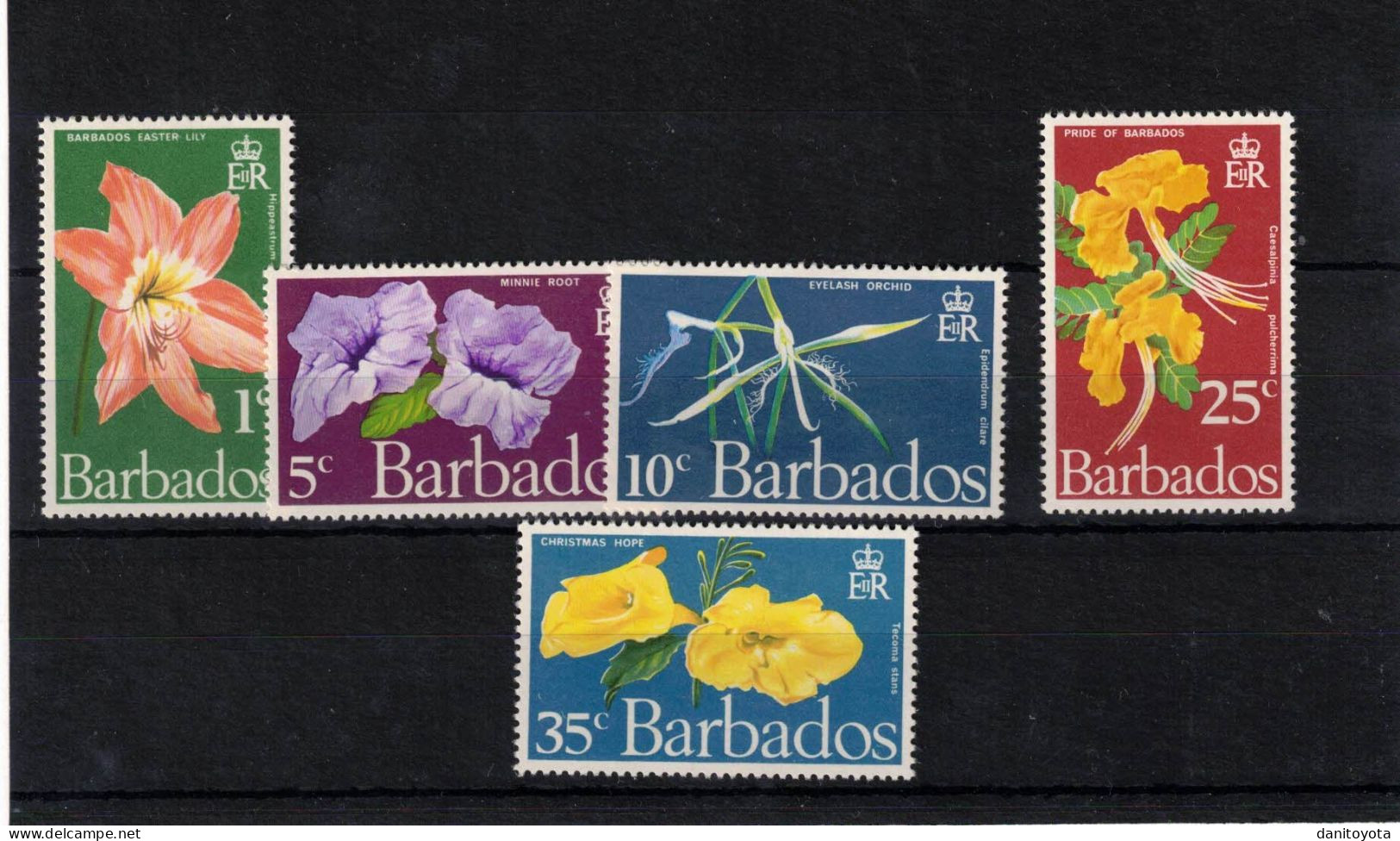 Barbados, Serie De 5 Valores Del Tema Flora - Barbados (1966-...)