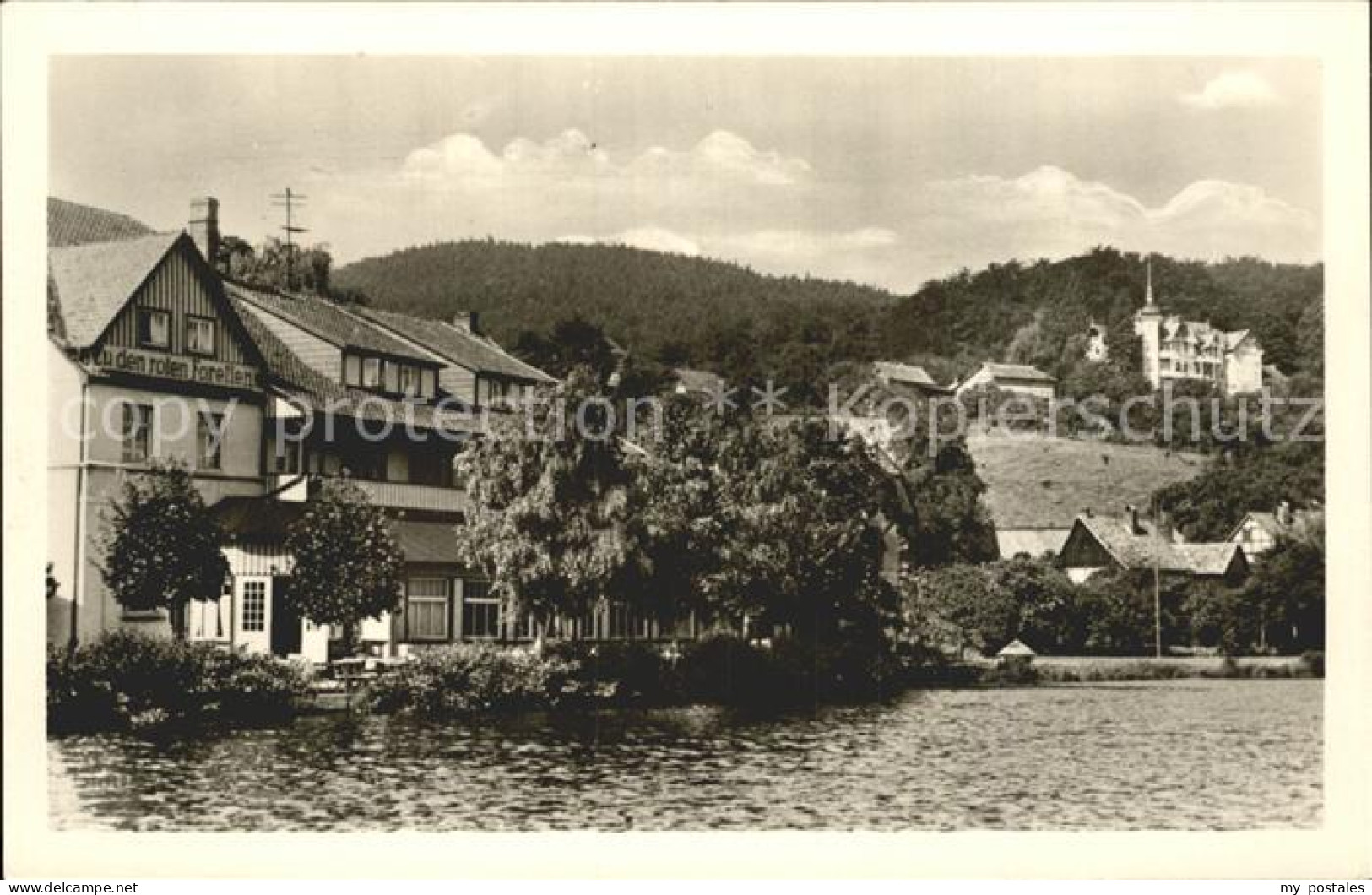 72361864 Ilsenburg Harz Forellenteich Gasthaus Zu Den Roten Forellen  Ilsenburg - Ilsenburg