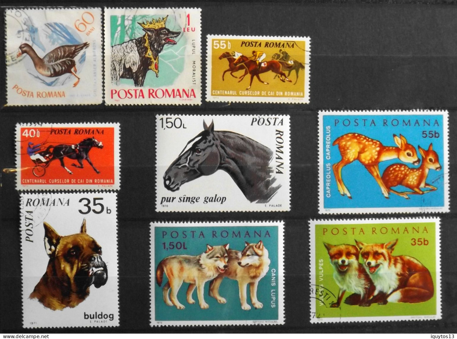 Lot De 9 Timbres - ROUMANIE POSTA ROMANA - ANIMAUX Divers 1970/80 - Oblitérés - Lotes & Colecciones