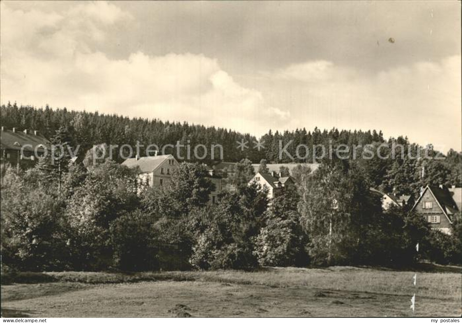 72359984 Rechenberg-Bienenmuehle Osterzgebirge Teilansicht Rechenberg-Bienenmueh - Rechenberg-Bienenmühle