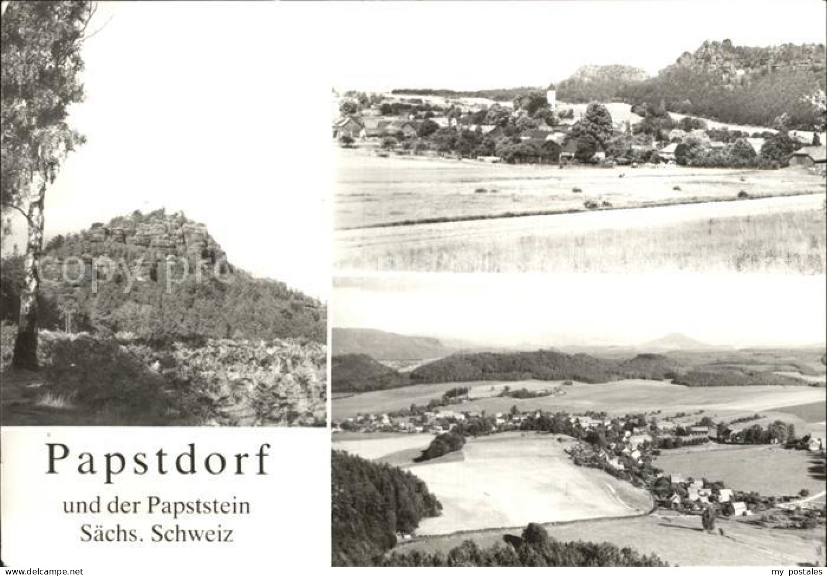 72357266 Papstdorf Papststein  Gohrisch - Gohrisch