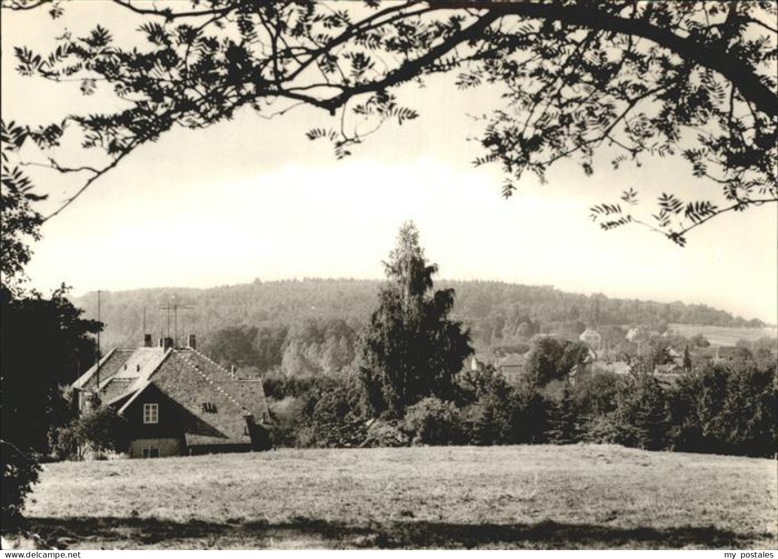 72356910 Spechtshausen Am Tharandter Wald Spechtshausen - Tharandt