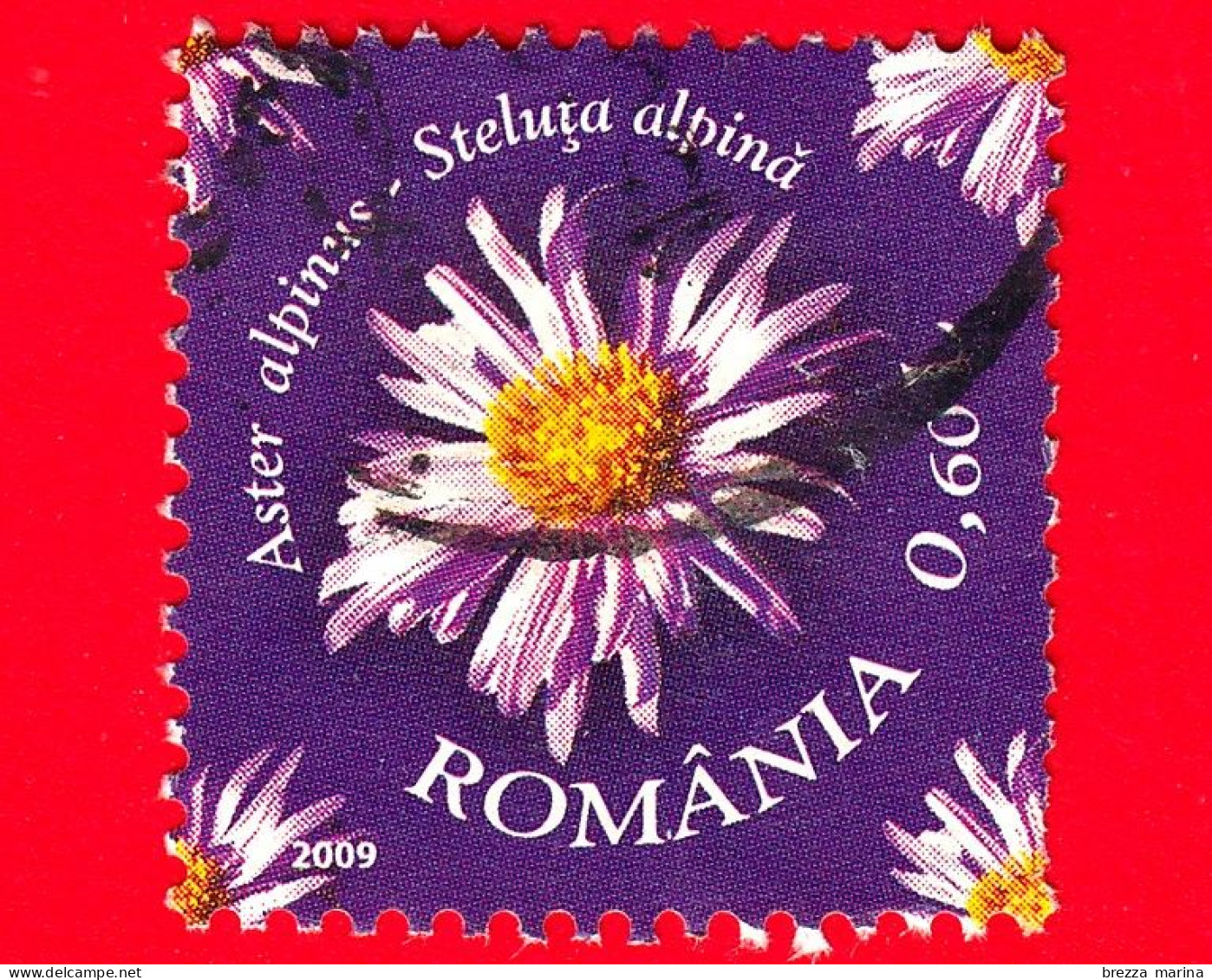 ROMANIA - Usato - 2009 - Fiori Protetti - Aster Alpino -  0.60 - Usati