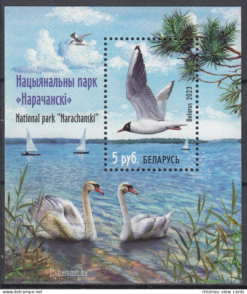 BELARUS 2023 National Park “Narachanski”Swans.Block.MNH - Schwäne