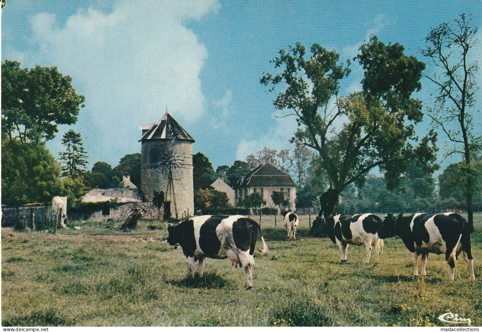 Pontault Combault (77 - Seine Et Marne) La Ferme Dinneveth Et Ses Vaches.  Eolienne - Pontault Combault