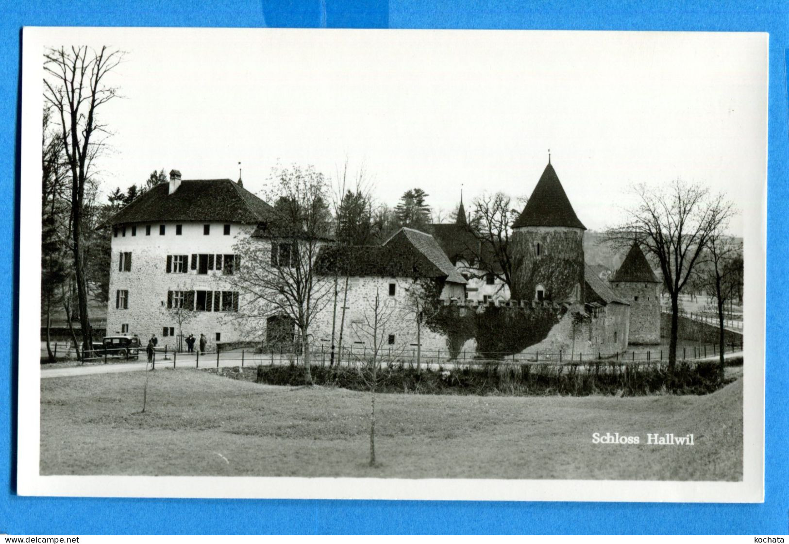 FEL1697, Schloss Hallwil, Non Circulée - Lenzburg