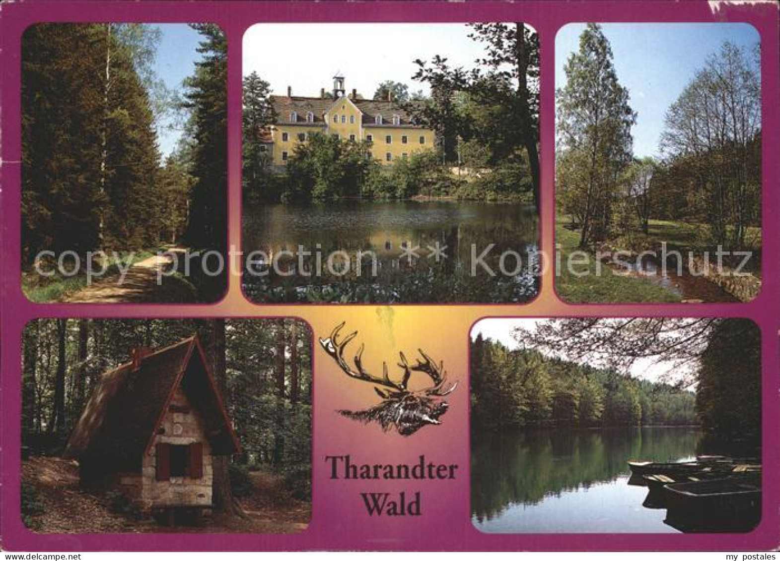 72354747 Tharandt Waldweg Schloss Kleines Haeuschen See Tharandt - Tharandt