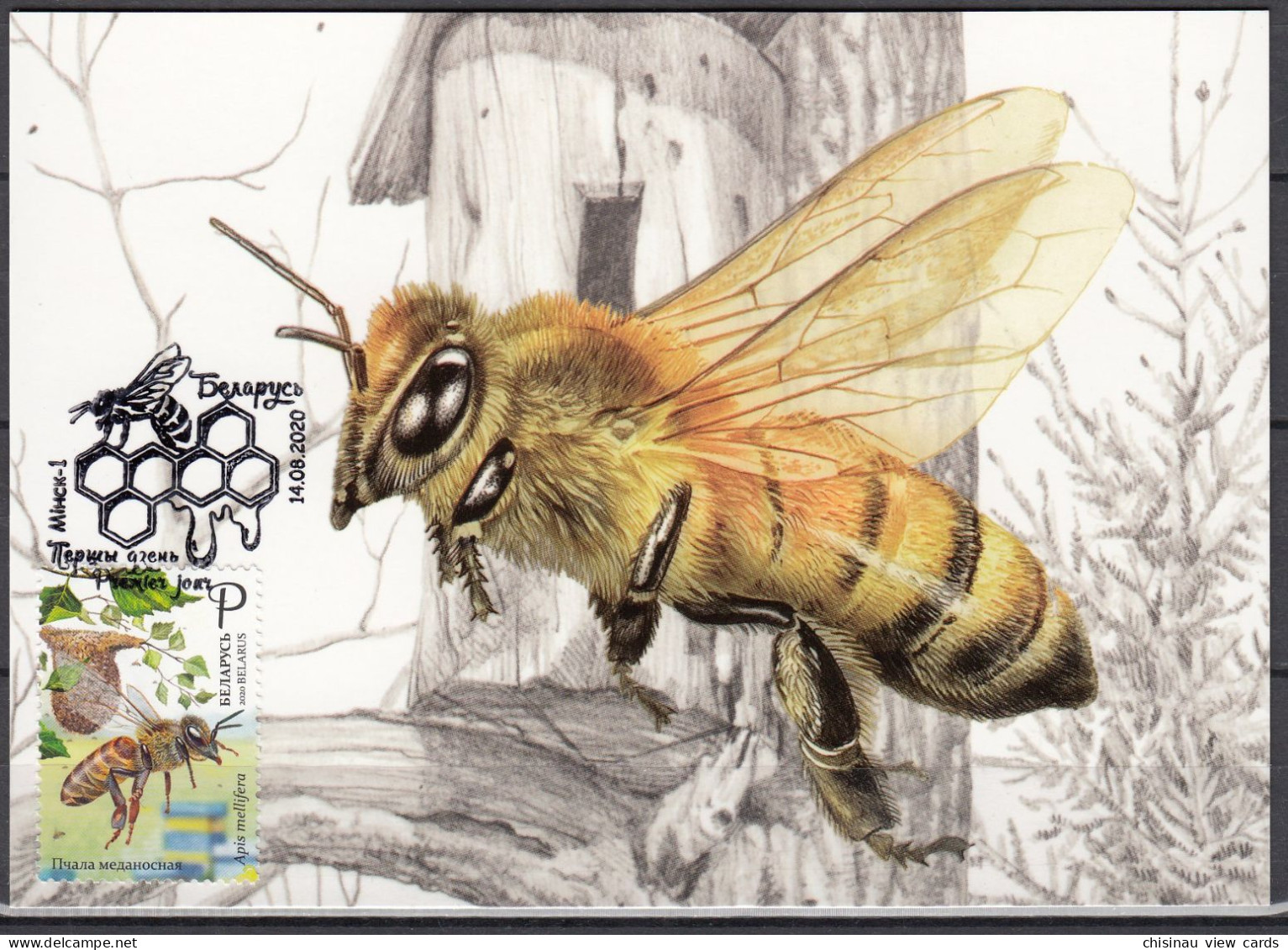 BELARUS 2020 Beekeeping Bees.Maxicrd.MNH - Abeilles