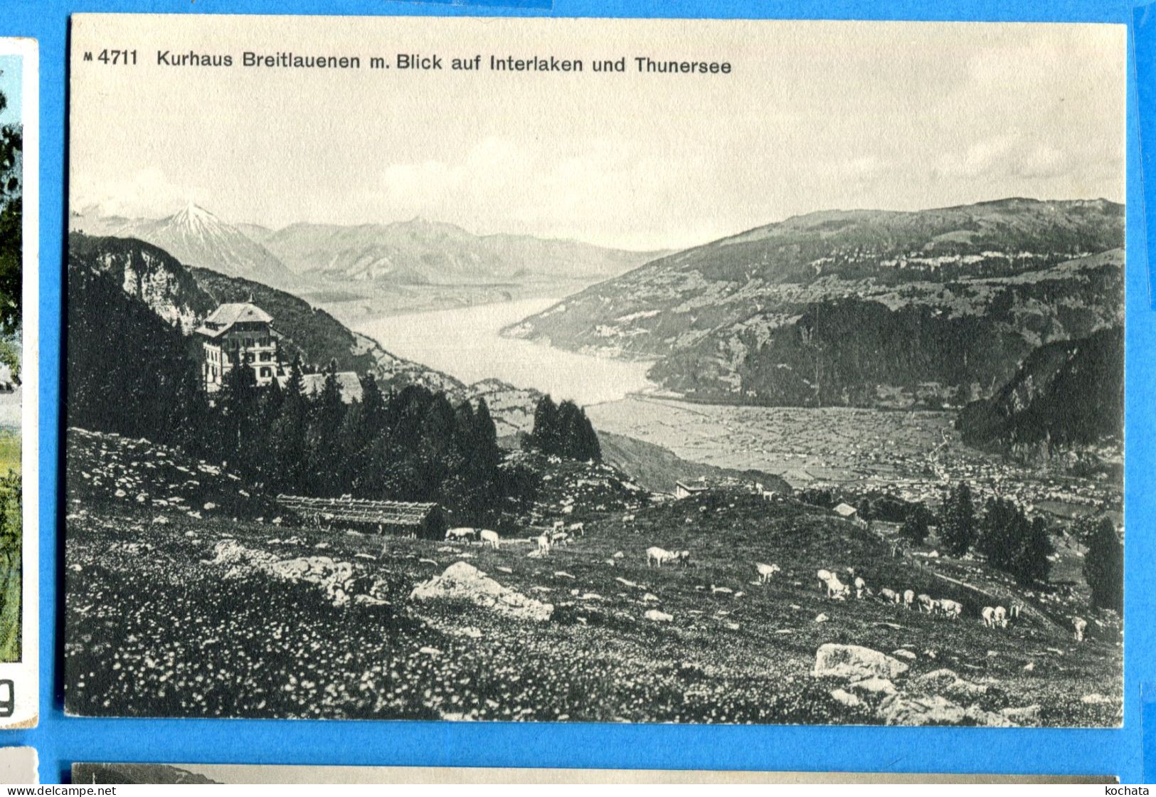 FEL1703, Kurhaus Breitlauenen, Interlaken, Thunersee, 4711, Photoglob, Non Circulée - Lauenen