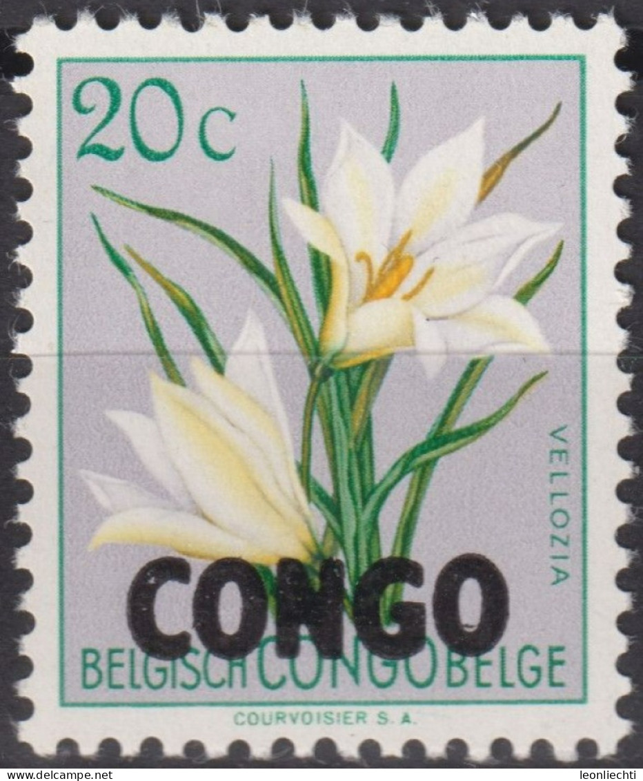 1960  Kongo - Kinshasa ** Mi:CD 13, Sn:CD 325, Yt:CD 384, Vellozia Aequatorialis Overprinted CONGO, Blumen - Ongebruikt