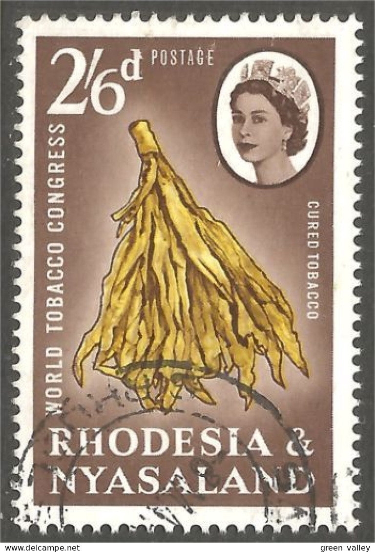 AL-31 Rhodesia Tabac Tabak Tobacco Tabaco Tabacco - Tabaco