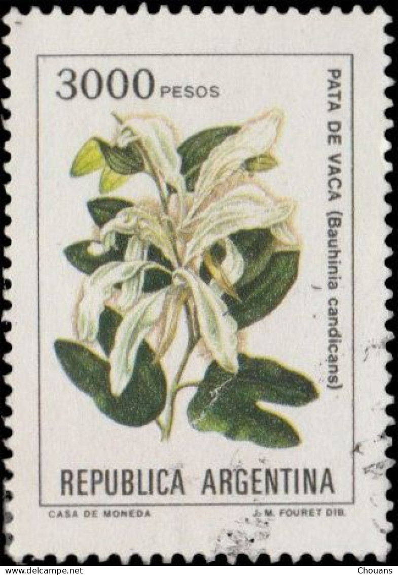 Argentine 1982. ~ YT 1333**x2 + 1335 - 3  Fleurs - Usati