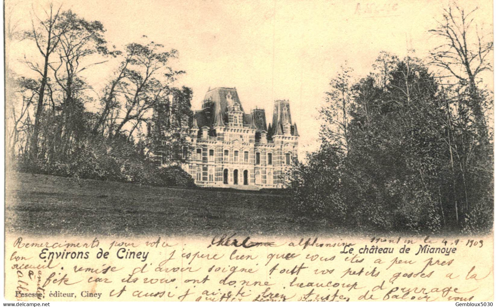 (216) Ciney   Le Château De Mianoye - Assesse