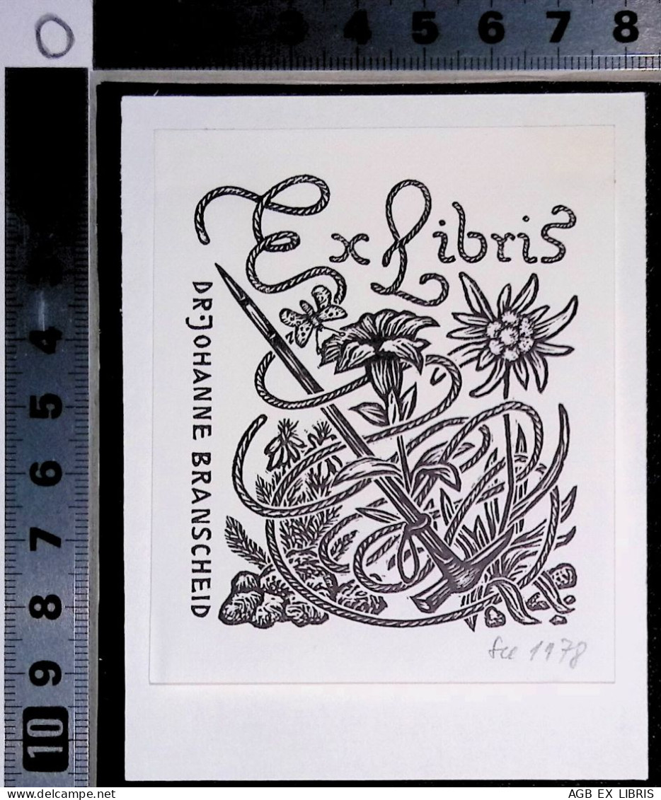 EX LIBRIS HELMUT SEEHAUSEN Per  DR. JOHANNE BRANSCHEID L27b-F01 - Exlibris