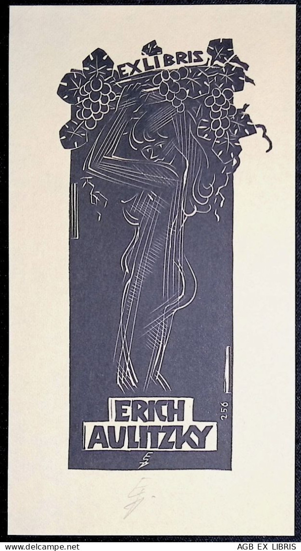 EX LIBRIS  ERHARD ZIEROLD Per  ERICH AULITZKY L27b-F01 AKT NUDO - Exlibris