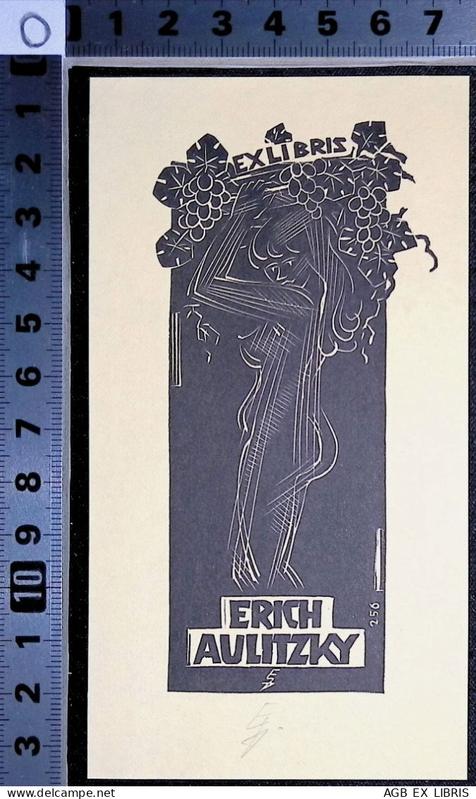 EX LIBRIS  ERHARD ZIEROLD Per  ERICH AULITZKY L27b-F01 AKT NUDO - Exlibris