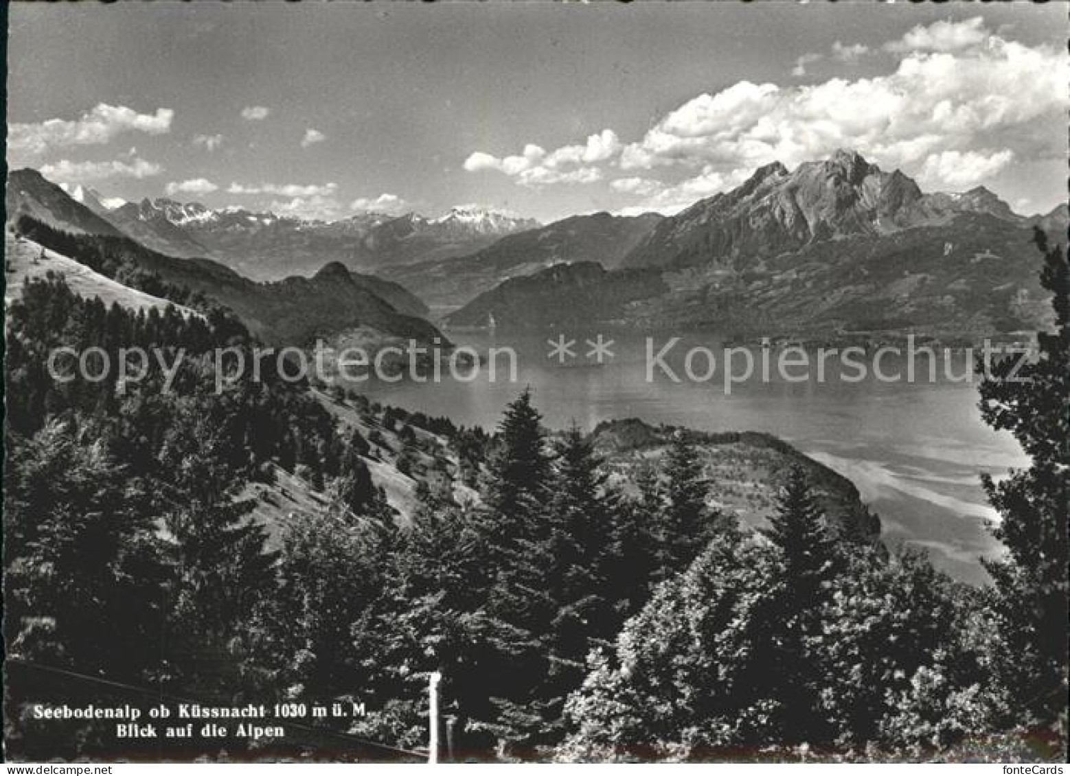 11745539 Kuessnacht Seebodenalp Mit Alpenpanorama Kuessnacht Am Rigi - Autres & Non Classés