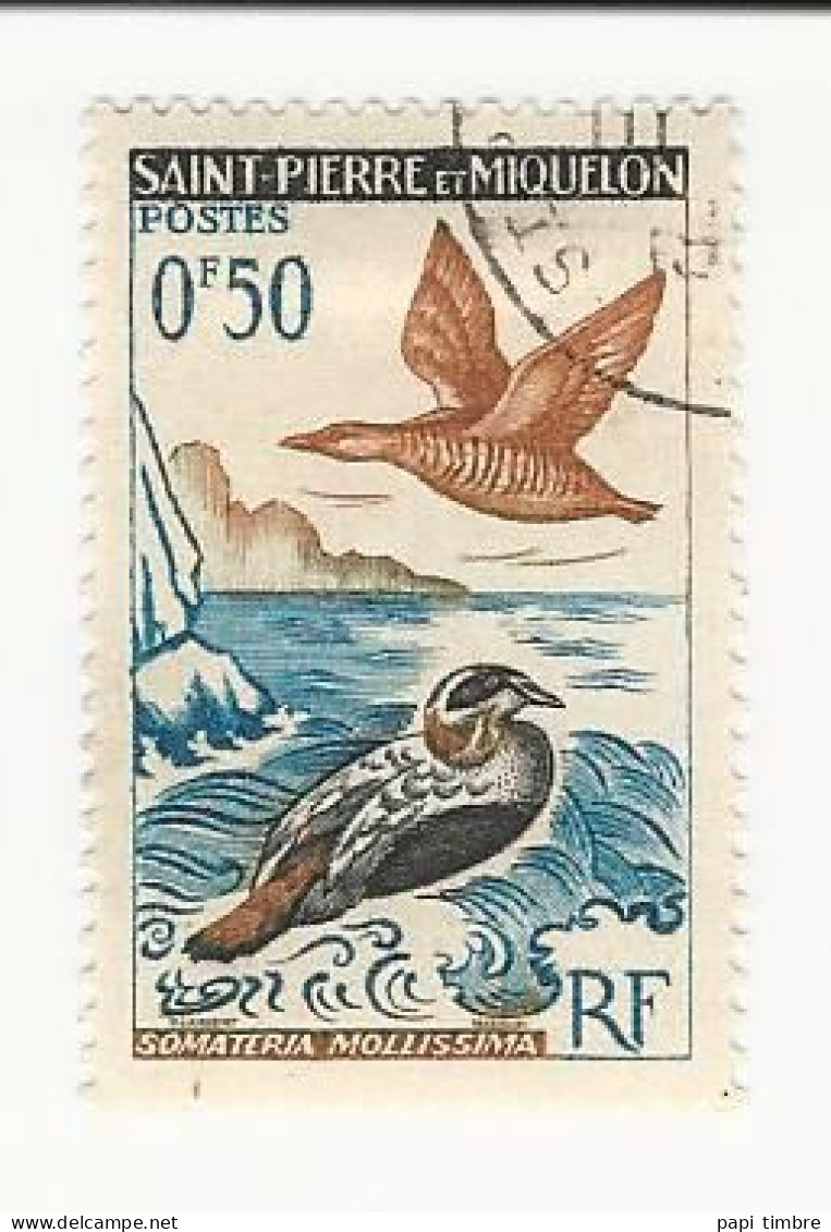 Saint-Pierre Et Miquelon - 1963 Oiseaux - N° 364 Oblitéré - Gebruikt