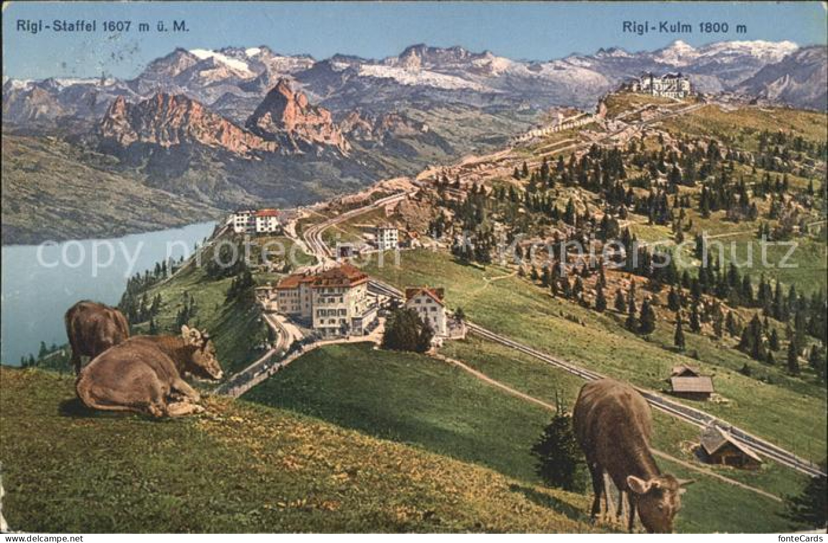 11741539 Rigi-Staffel Mit Rigi Kulm Hotels Panorama Rigi Staffel - Sonstige & Ohne Zuordnung