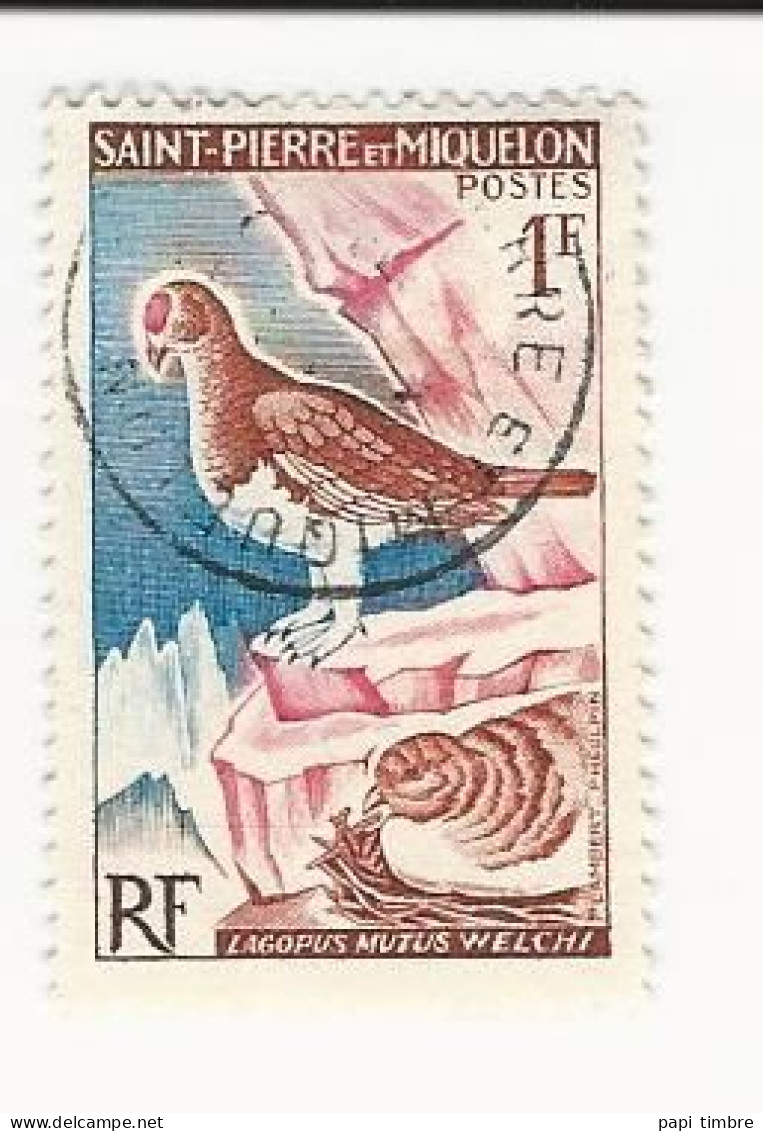 Saint-Pierre Et Miquelon - 1963 Oiseaux - N° 365 Oblitéré - Oblitérés